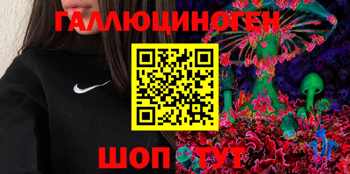 Гагарин  Псилоцибиновые грибы Psilocybine cubensis  Вход с VPN  Галлюциногенные грибы прущие грибы 