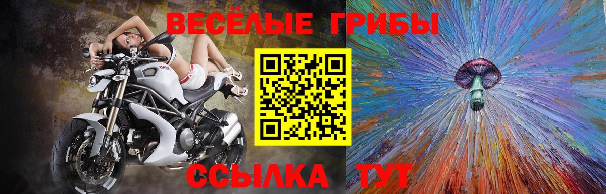 Галлюциногенные грибы MAGIC MUSHROOMS  Гагарин  Галлюциногенные грибы прущие грибы 