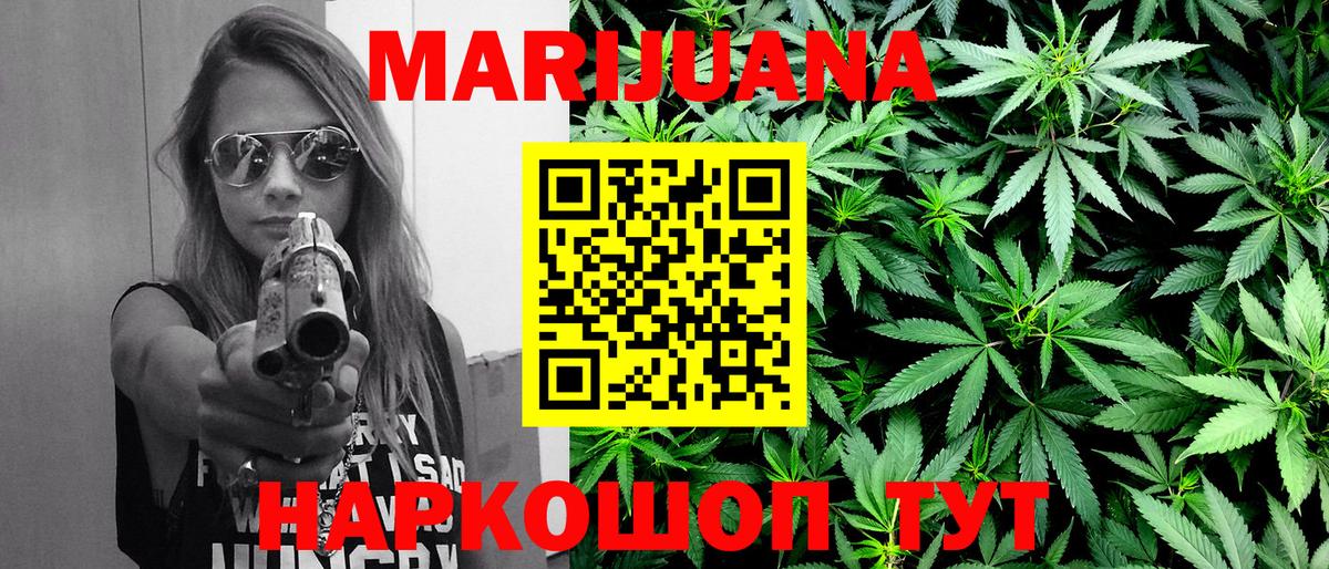 Конопля сатива Гагарин